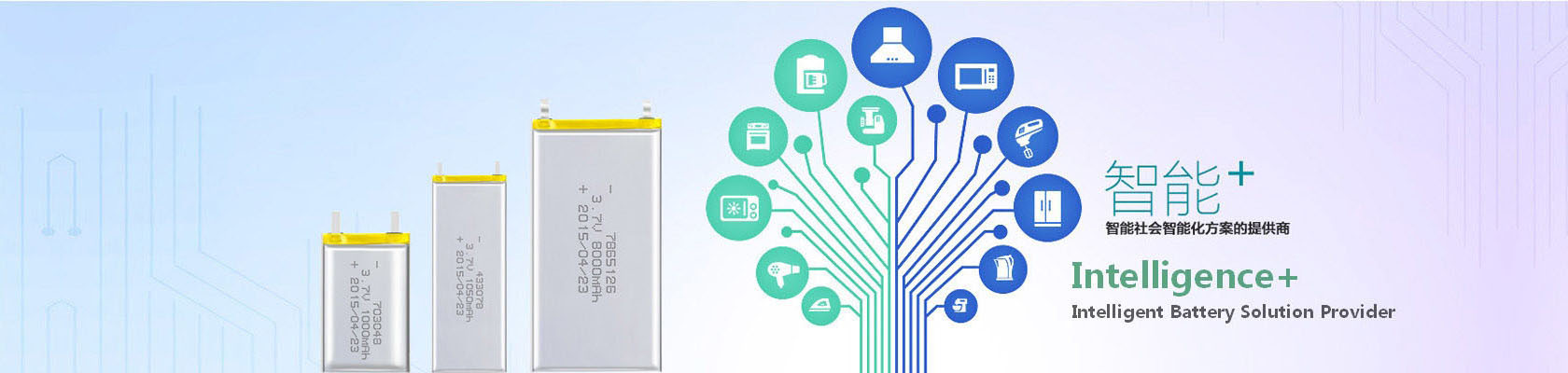 Lithium Polymer battery pack