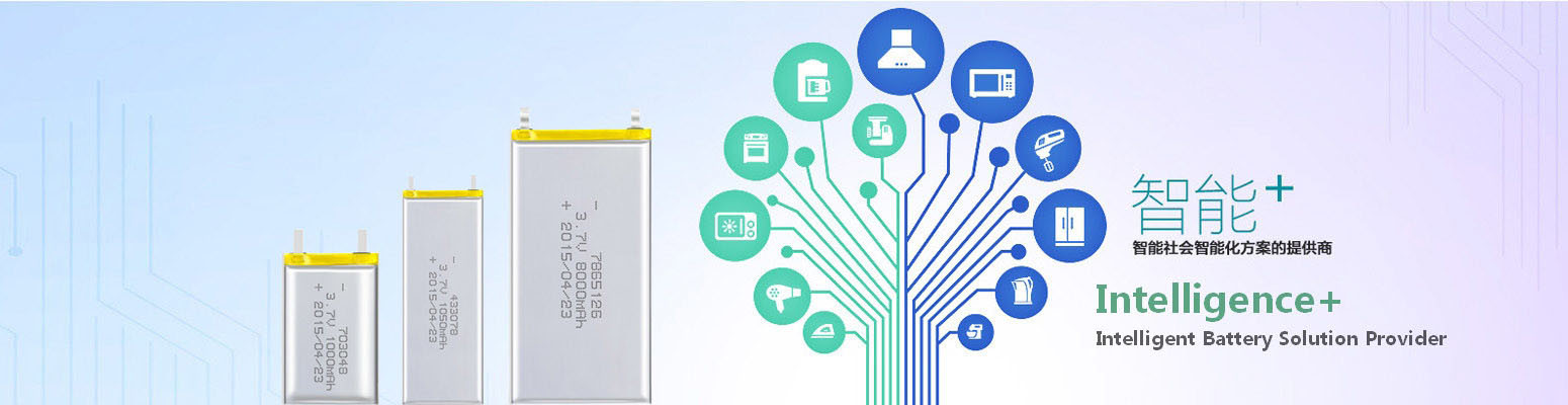 Lithium Polymer battery pack